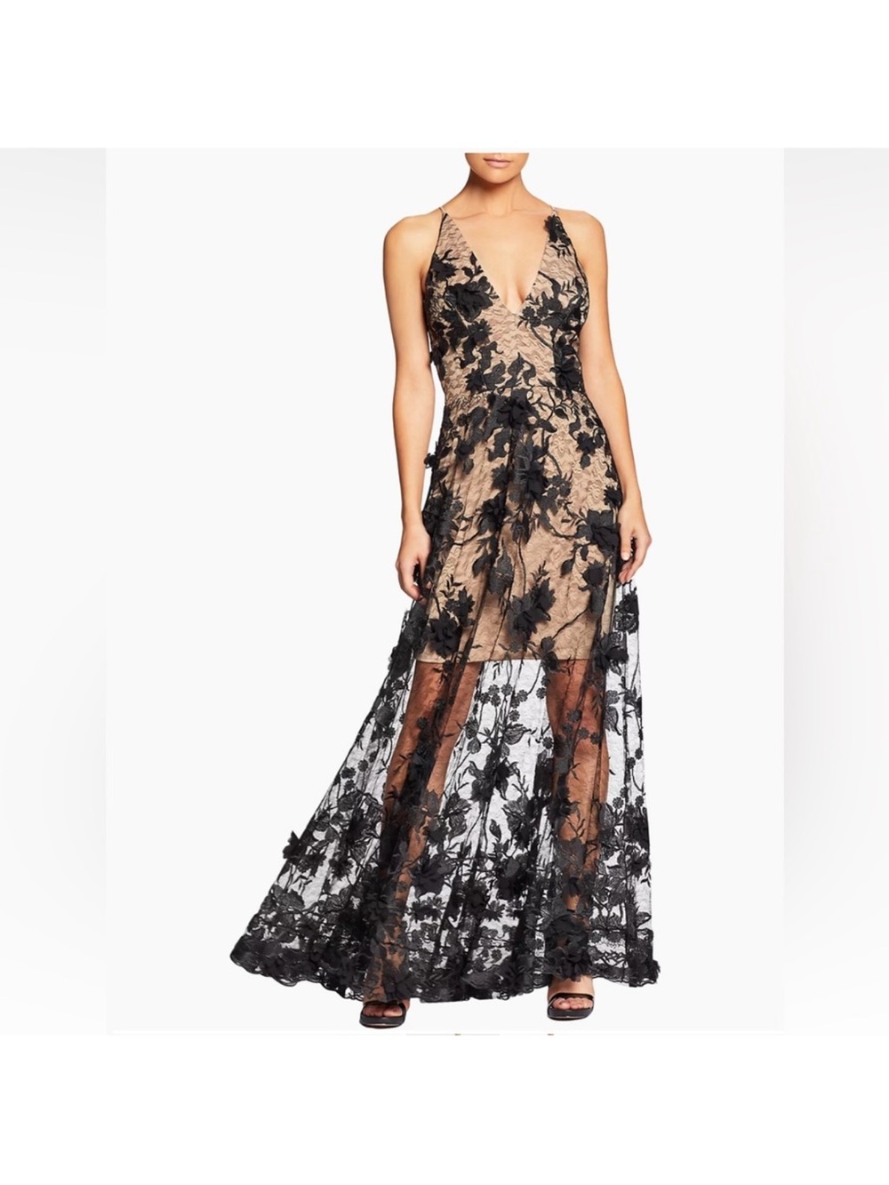 Dress the Population Black Lace Appliqué Maxi Dress with Nude Underlay